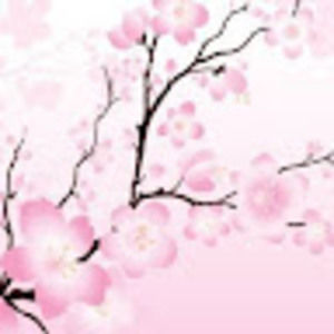 Meet your Posher, Claire